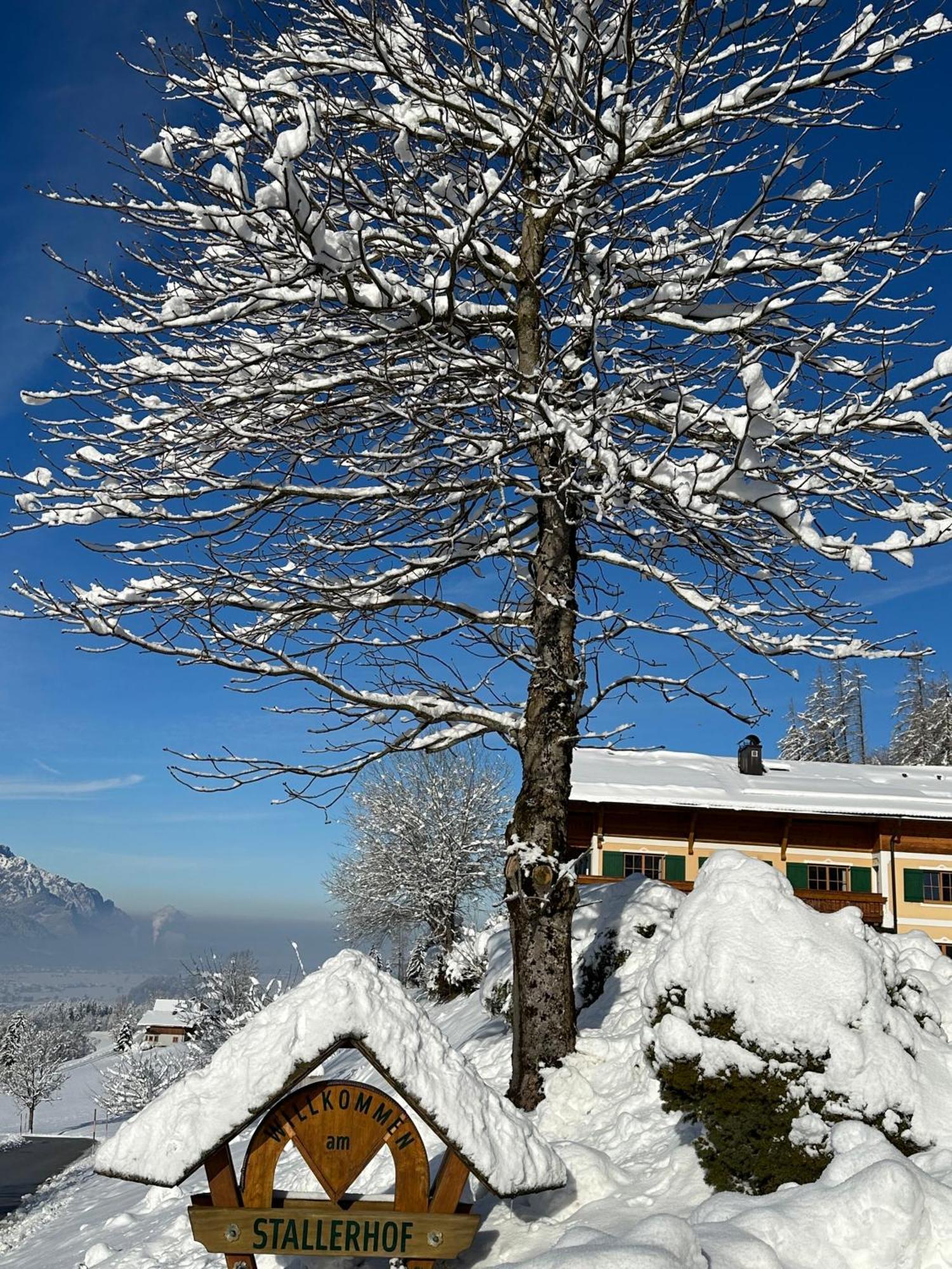 Stallerhof Hotel Golling an der Salzach Exterior photo