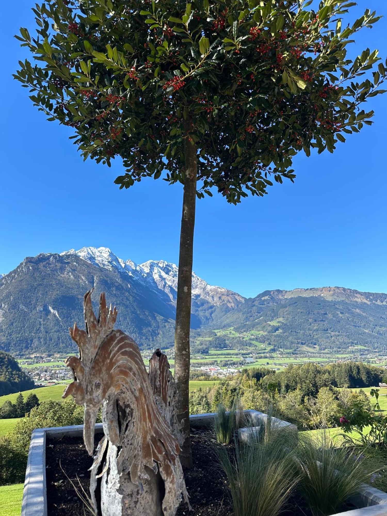 Stallerhof Hotel Golling an der Salzach Exterior photo